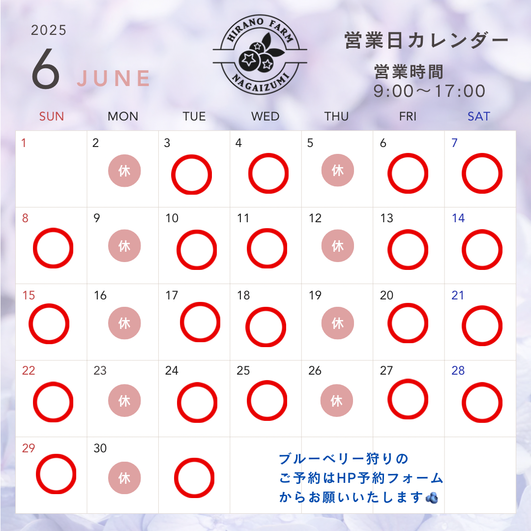 ホワイト  ブラック ナチュラル 写真  2024年11月〜2025年8月まで  営業日カレンダー  インスタグラム投稿(2)