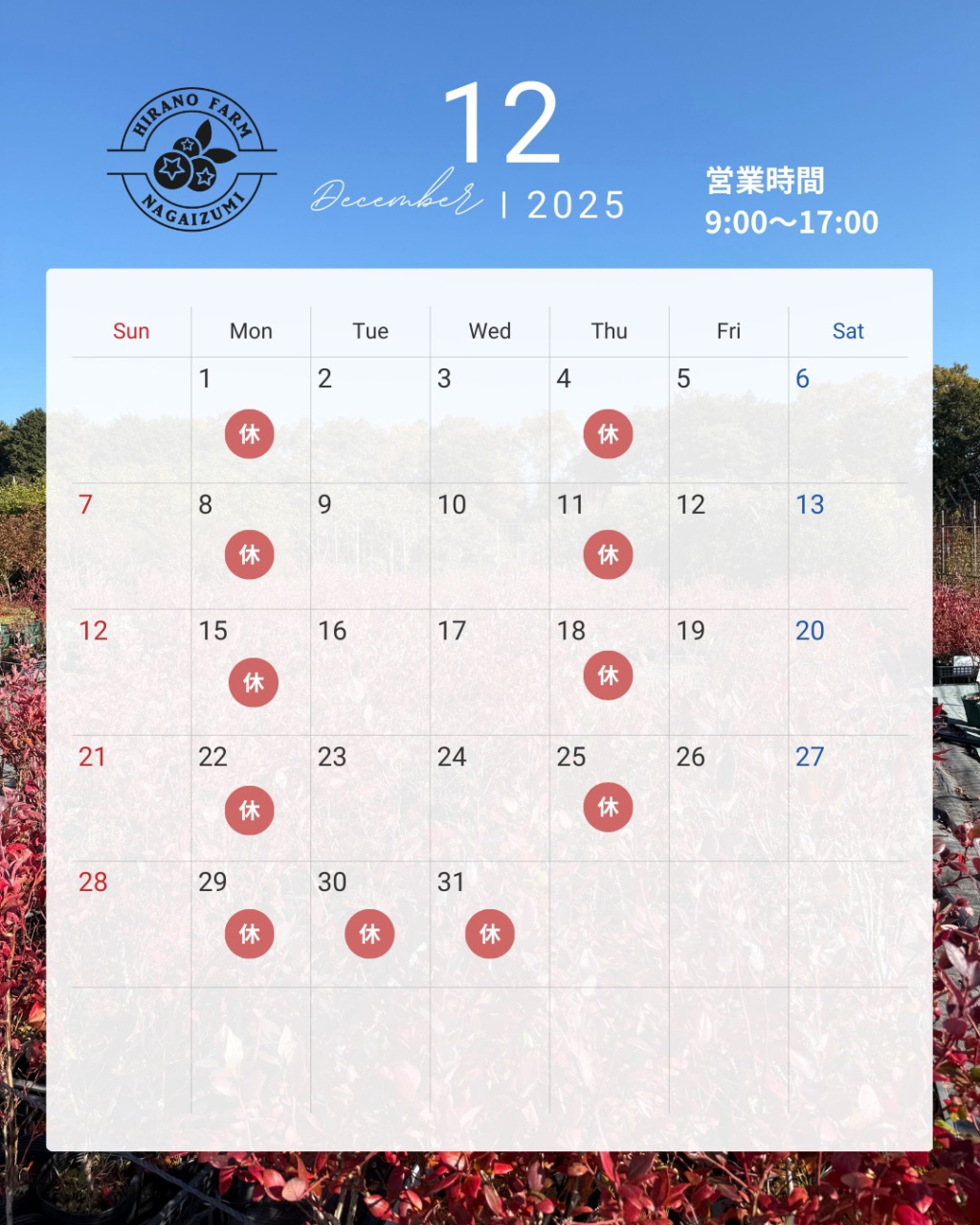 モノトーン シンプル 営業日 予約状況 カレンダー 2025年  11月 12月 Instagram投稿 - 2